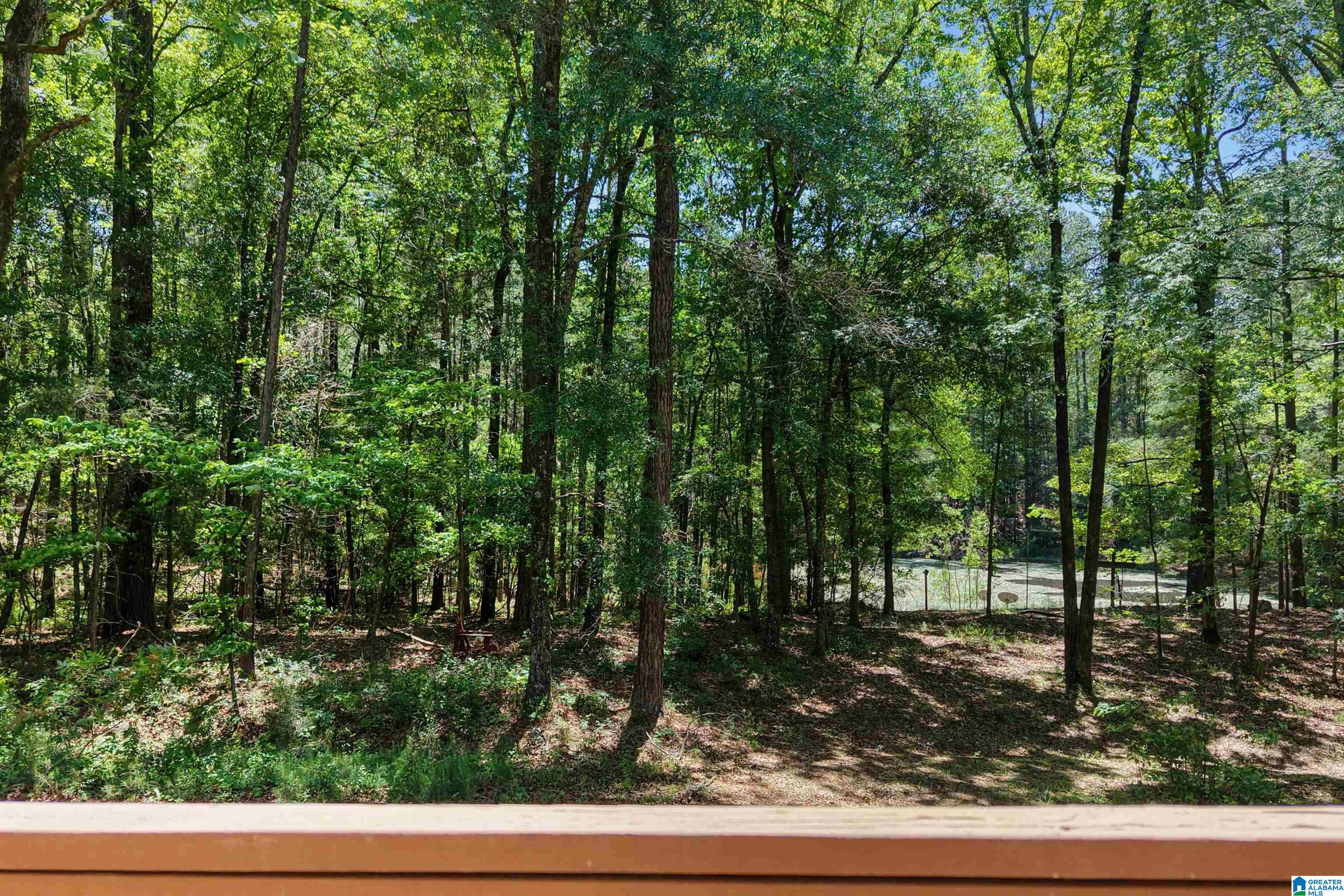 360 Cornelia Road Brierfield, AL 35035 - Photo 55 of 67