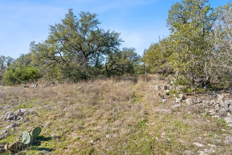 a view of a yard with plants and tree