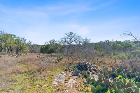 a view of a yard with a tree