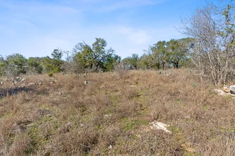 a view of a dry yard with trees in the background