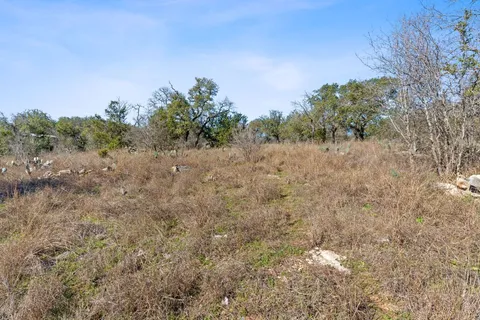 a view of a dry yard with trees in the background