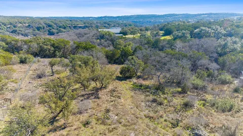 a view of a forest with trees in the background