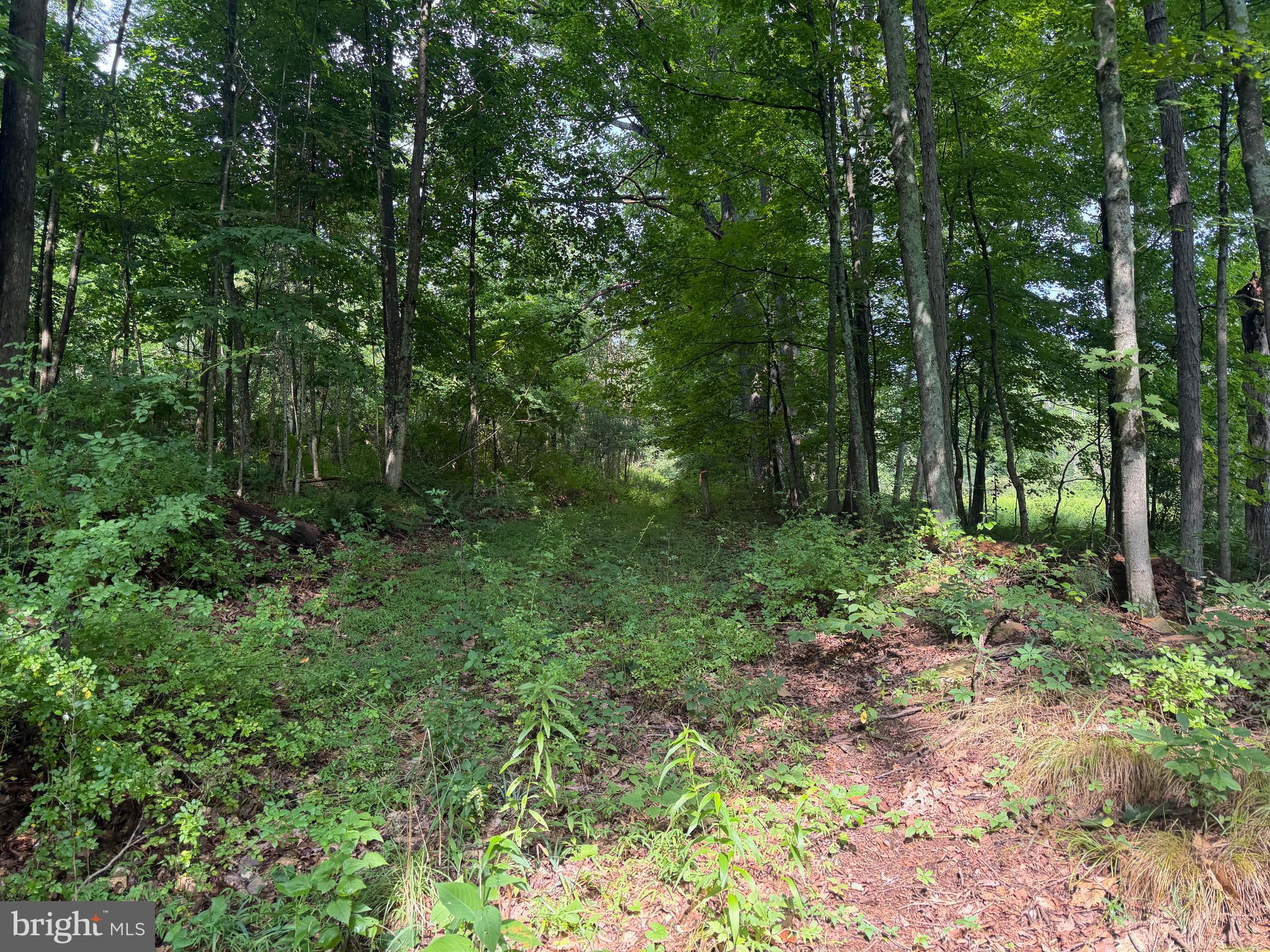 107-acres Schenck Road Wells Tannery, PA 16691 - Photo 52 of 73 Gallery Image 52