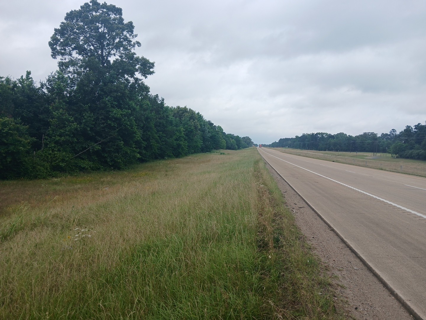 1640 County Road 1640 Jefferson, TX 75657 - Photo 7 of 10