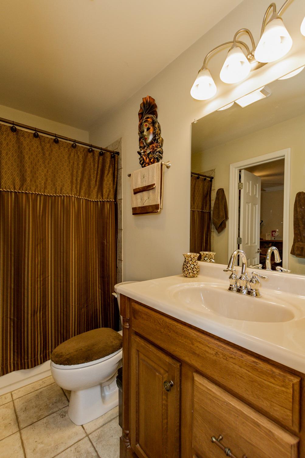 3701 Oakland Road Springfield, TN 37172 - Photo 12 of 22 a bathroom with a sink mirror vanity and toilet
