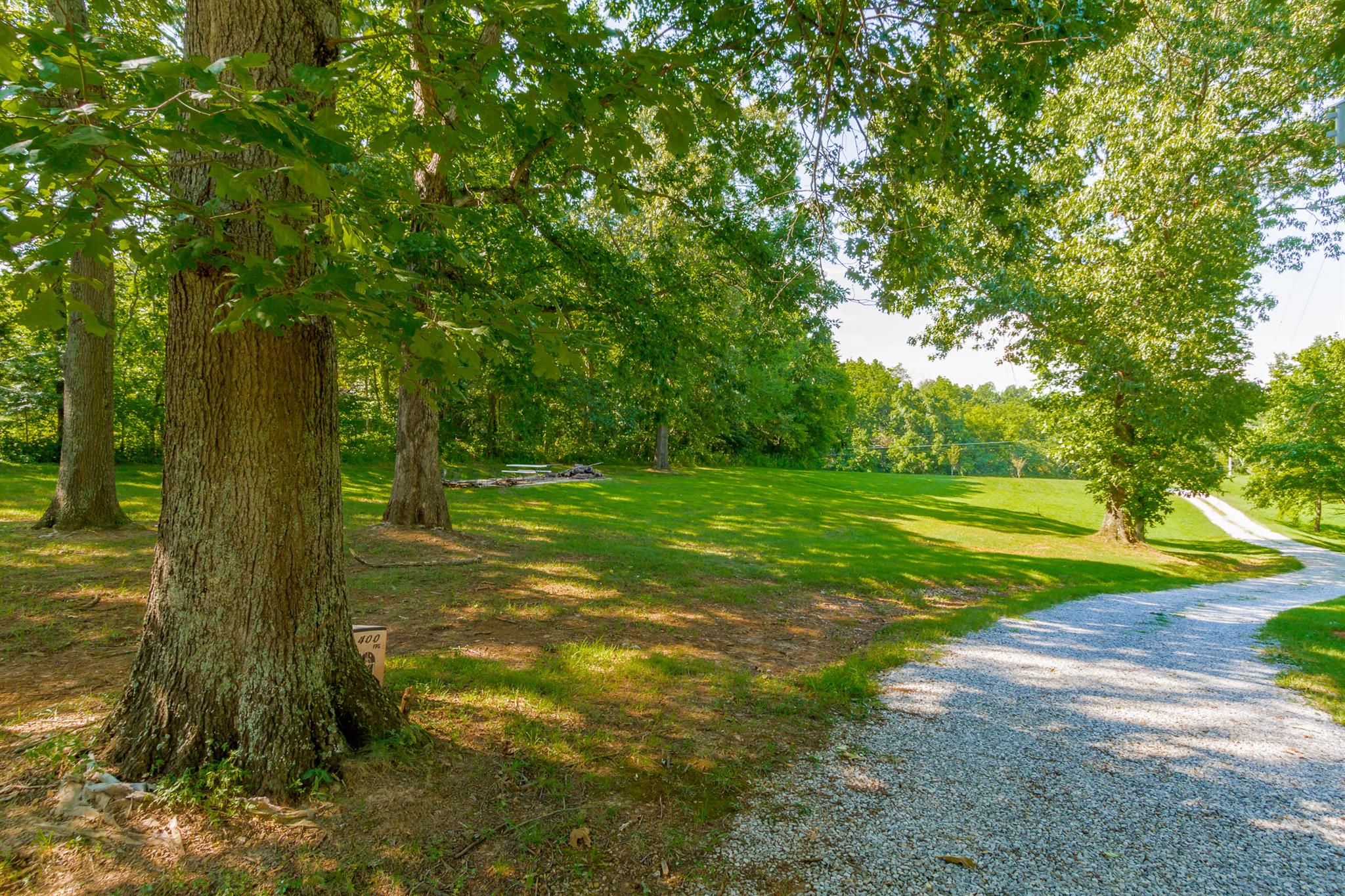 3701 Oakland Road Springfield, TN 37172 - Photo 3 of 22 a view of a yard with a tree