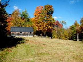 1044 Healdville Road Mount Holly, VT 05758 - Photo 4 of 16 Gallery Image 4