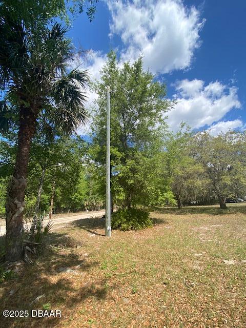 583 Emporia Road Pierson, FL 32180 - Photo 8 of 14 IMG_0476