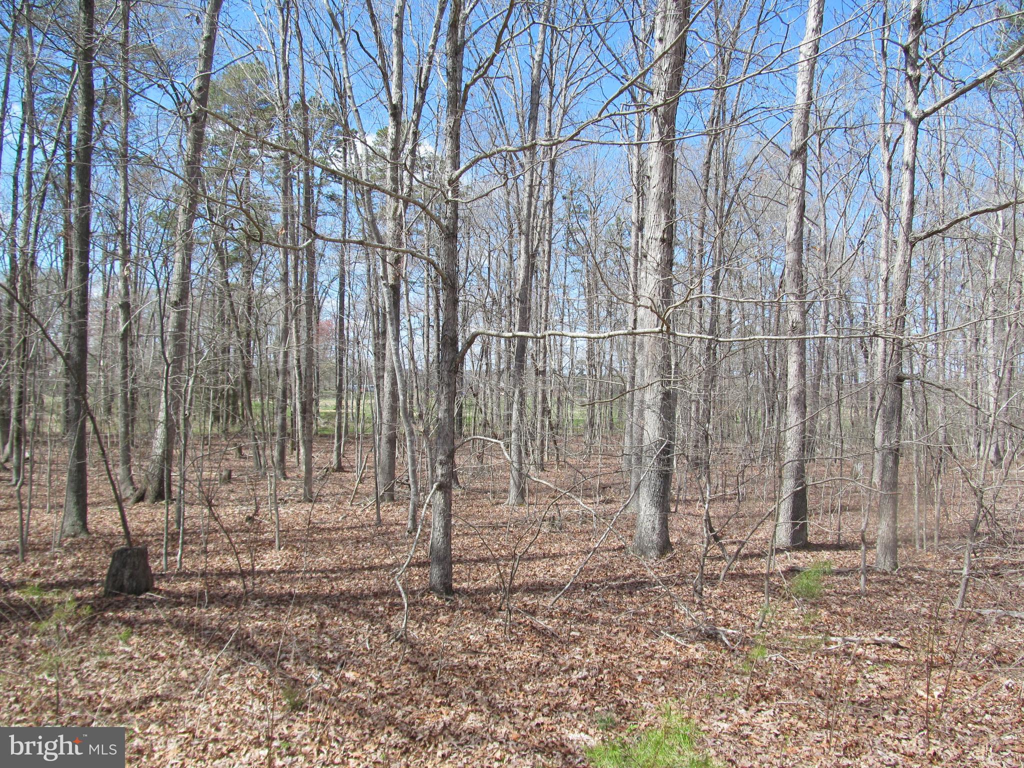 Madison Run Road Gordonsville, VA 22942 - Photo 1 of 2 Gallery Image 1