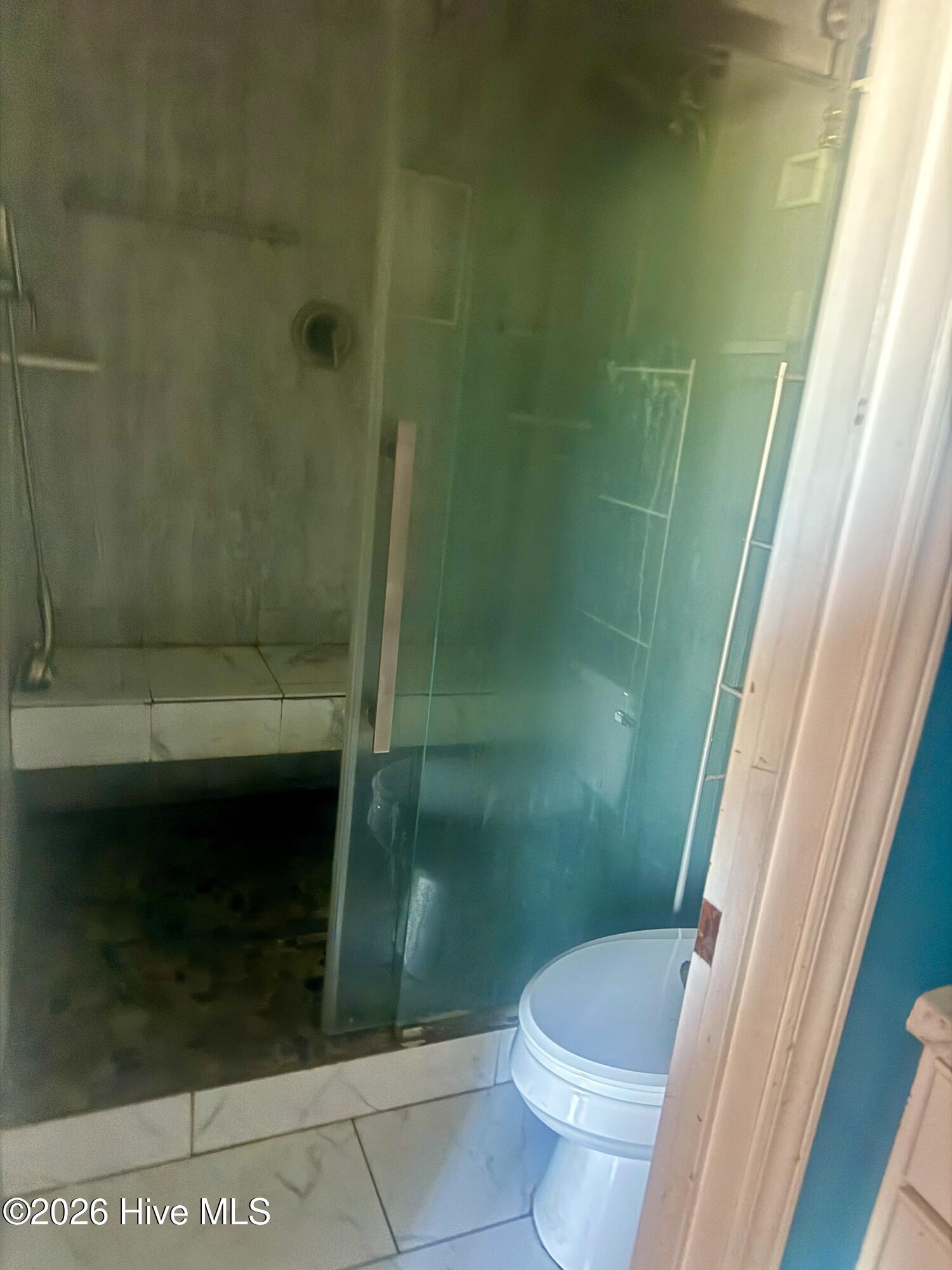 638 Sand Ridge Road Hubert, NC 28539 - Photo 9 of 13 Updated master shower