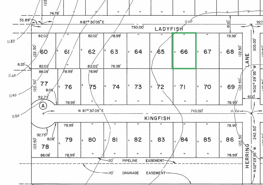 266 Ladyfish Road Palacios, TX 77465 - Photo 10 of 10 a black and white photo of a painting