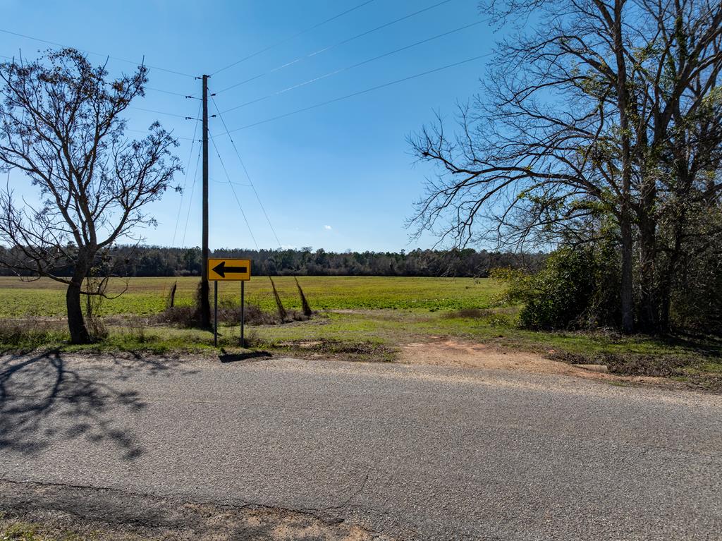 31.5-ac 31.5-ac Rammer Loop Road Dothan, AL 36301 - Photo 5 of 49