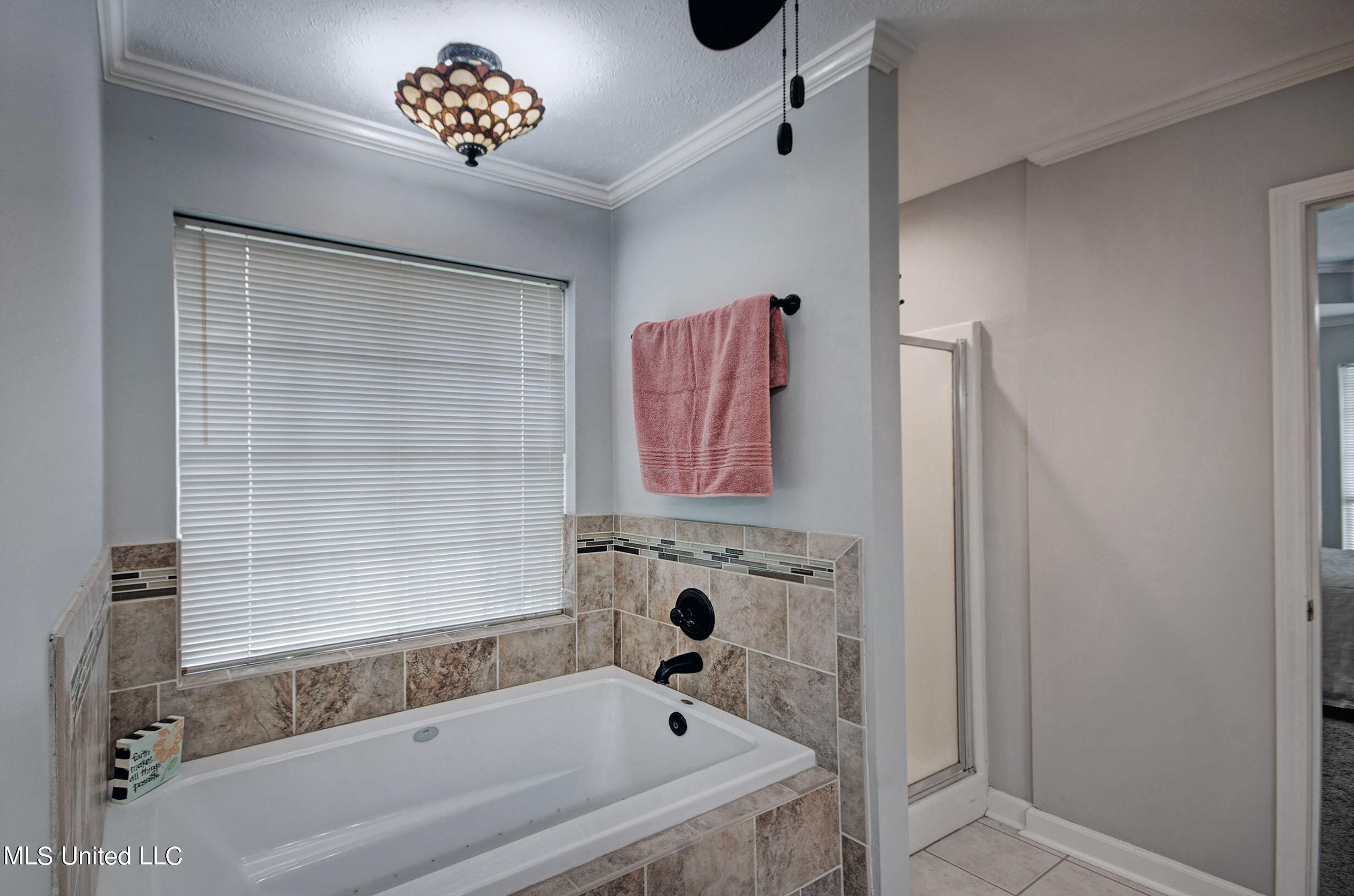 116 Greenfield Way Madison, MS 39110 - Photo 20 of 33 IMGP4067_8_9