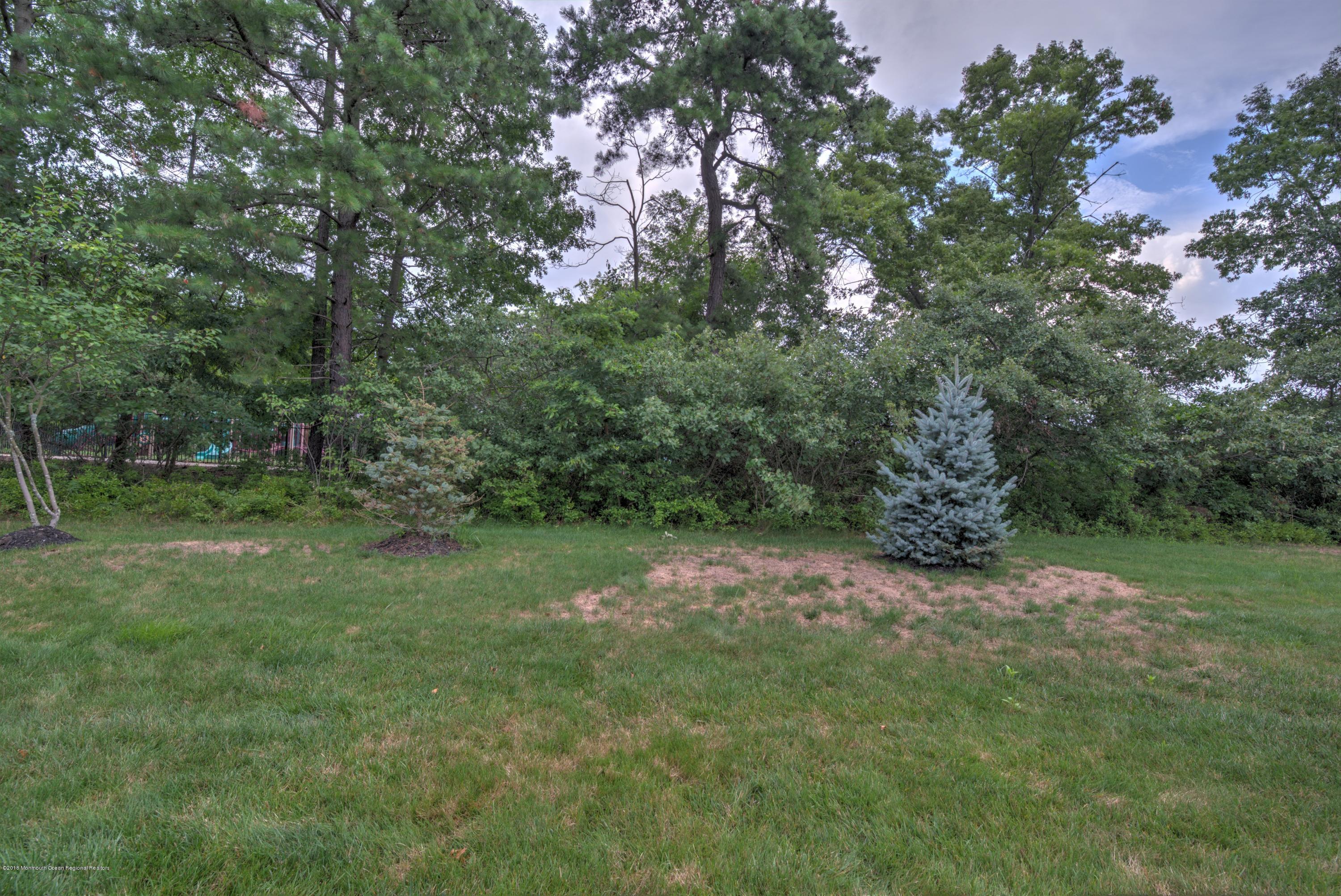 16 East Raphael Lane Farmingdale, NJ 07727 - Photo 31 of 50 a view of a yard with a tree