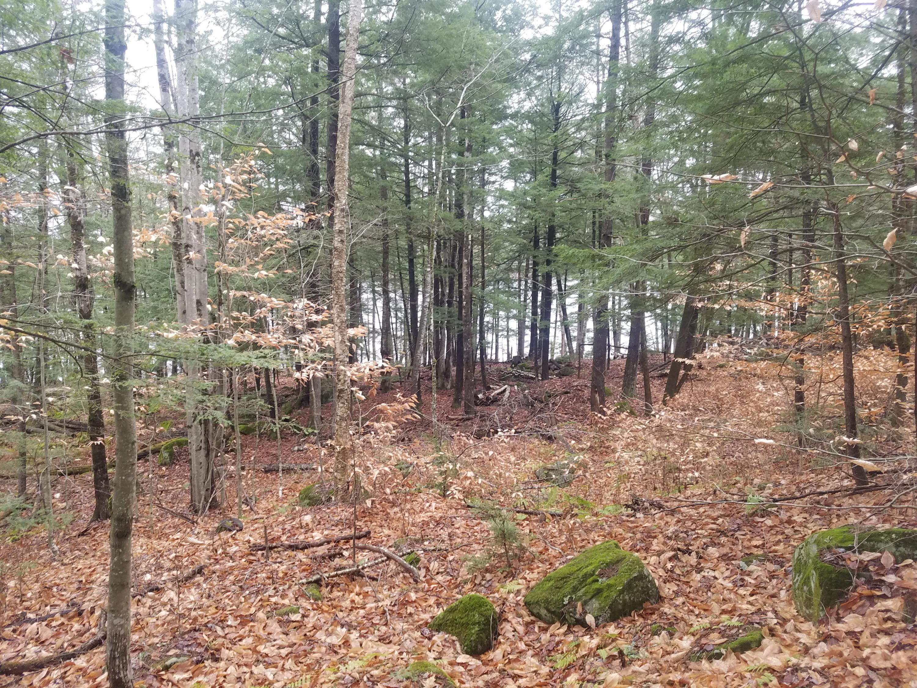 0 Crystal Spring Lane Jay, ME 04239 - Photo 6 of 19 20161127_135825