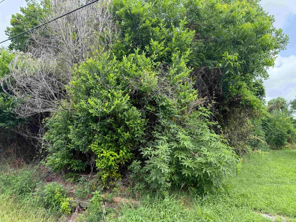 $15,000 | 808 West Hart Avenue, Orange, TX 77630