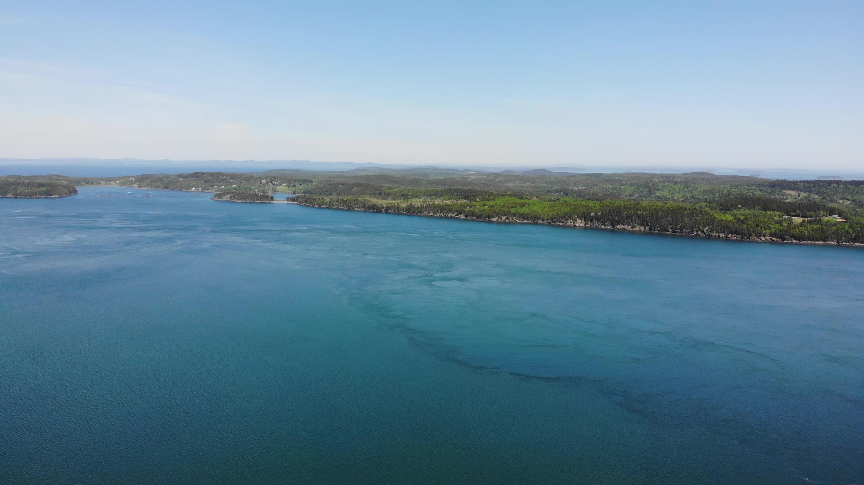 45 Kendall Head Road Eastport, ME 04631 - Photo 92 of 117 DJI_0142 - frame at 3m31s