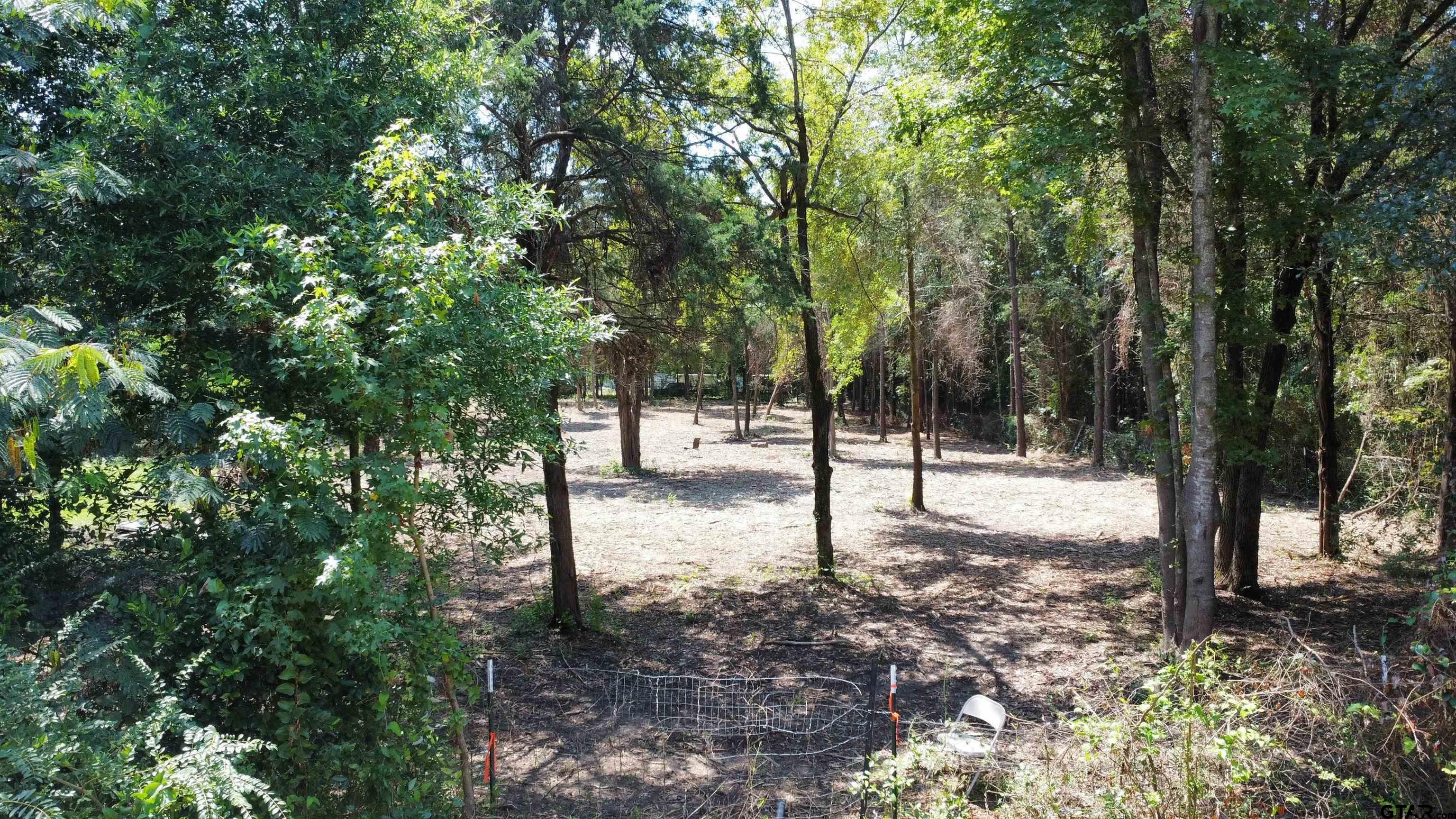 Tbd Holtzclaw Drive Tyler, TX 75706 - Photo 2 of 10 a view of a forest with trees