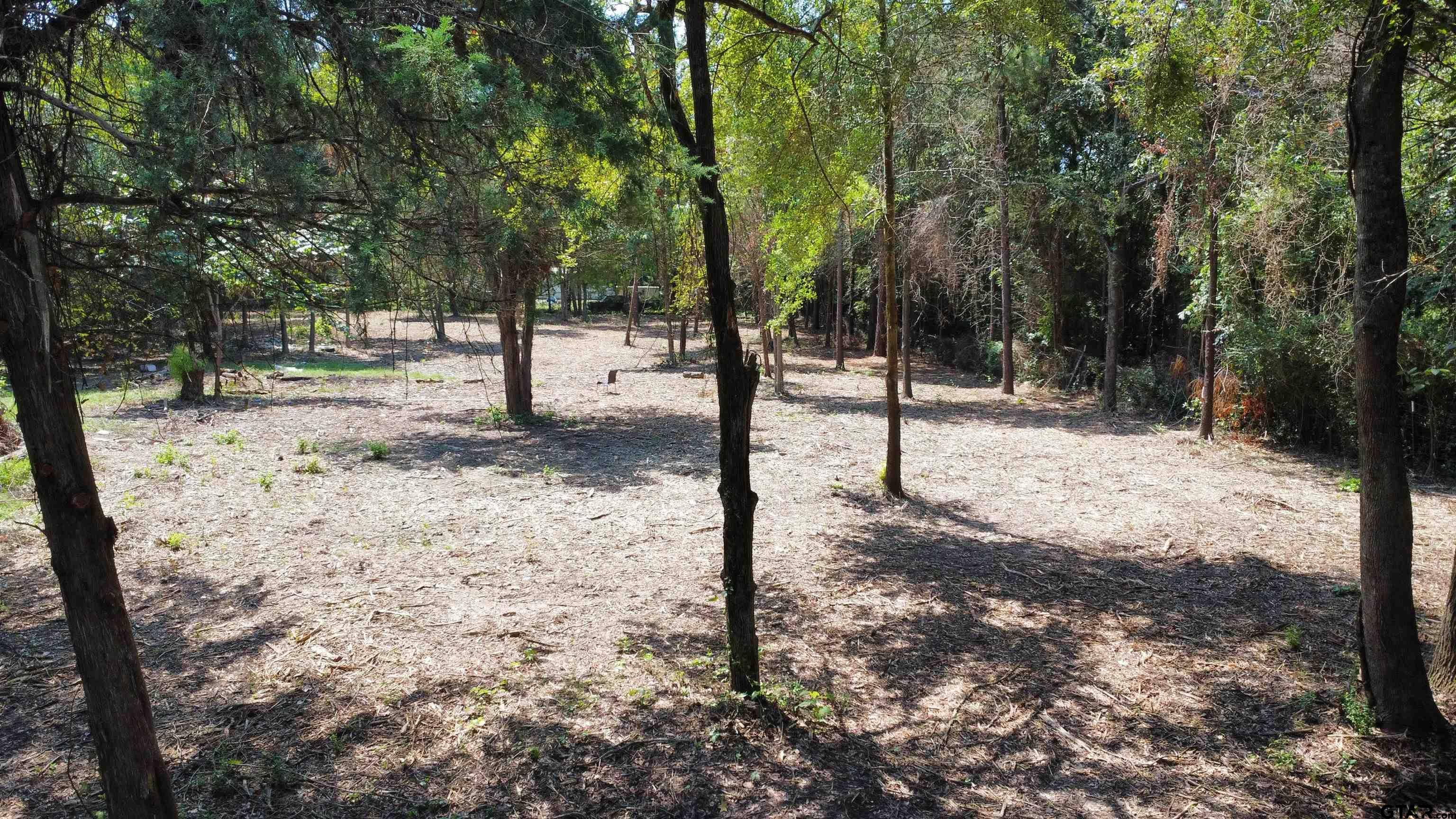 Tbd Holtzclaw Drive Tyler, TX 75706 - Photo 3 of 10 a view of a yard with trees