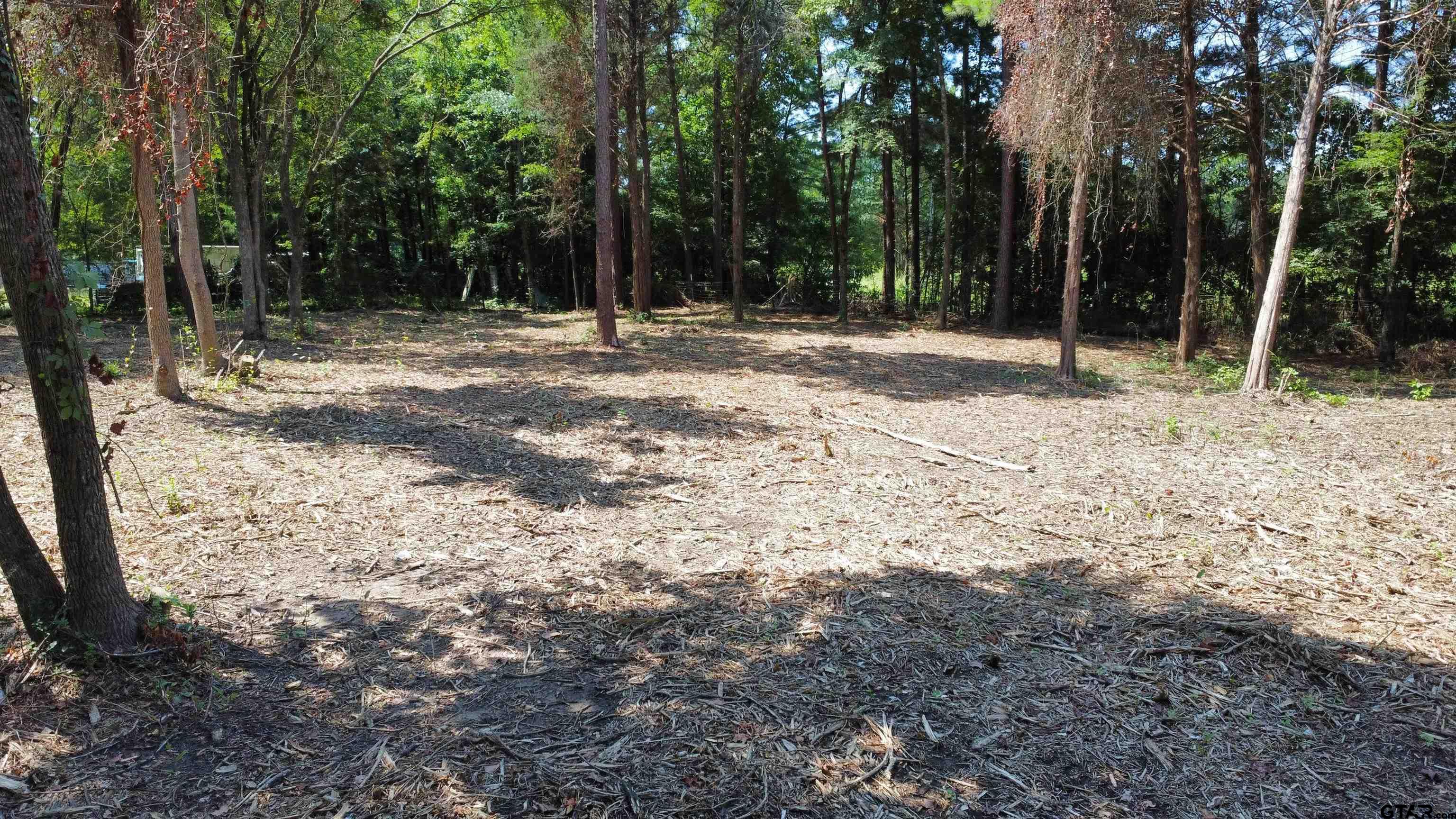 Tbd Holtzclaw Drive Tyler, TX 75706 - Photo 4 of 10 a backyard of a house with lots of green space