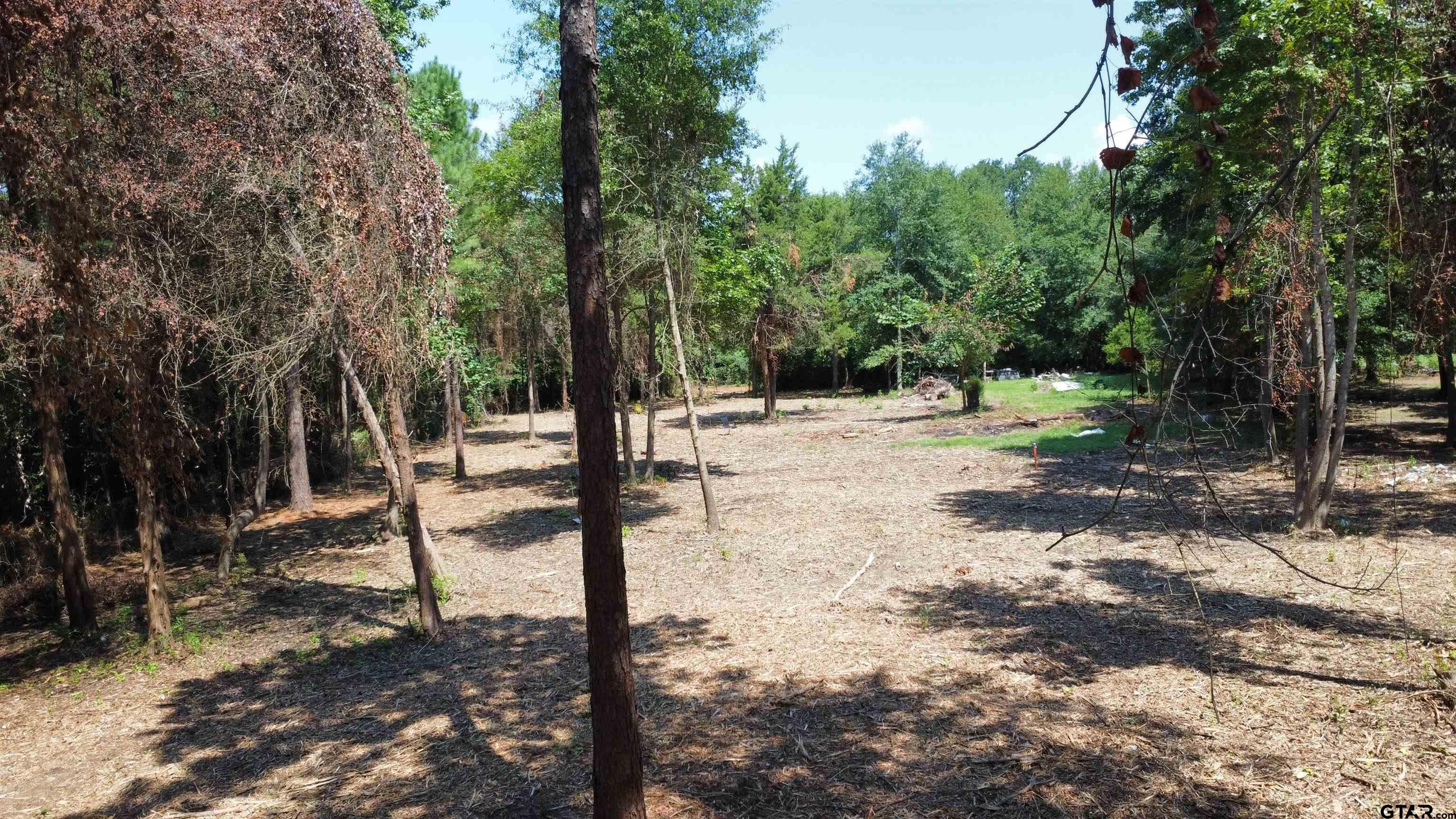 Tbd Holtzclaw Drive Tyler, TX 75706 - Photo 5 of 10 a view of a tree in a yard