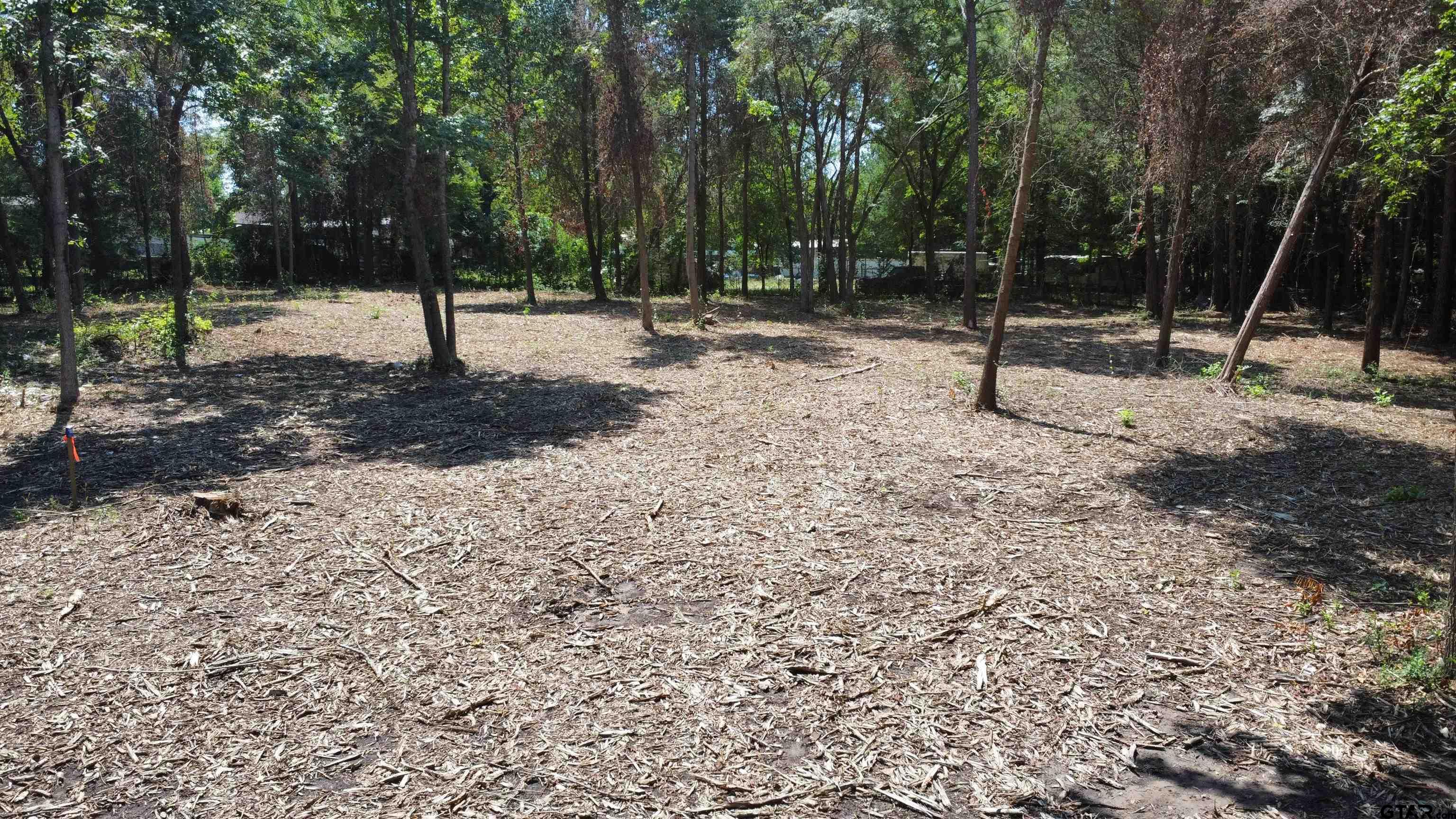 Tbd Holtzclaw Drive Tyler, TX 75706 - Photo 8 of 10 a view of a tree in a park