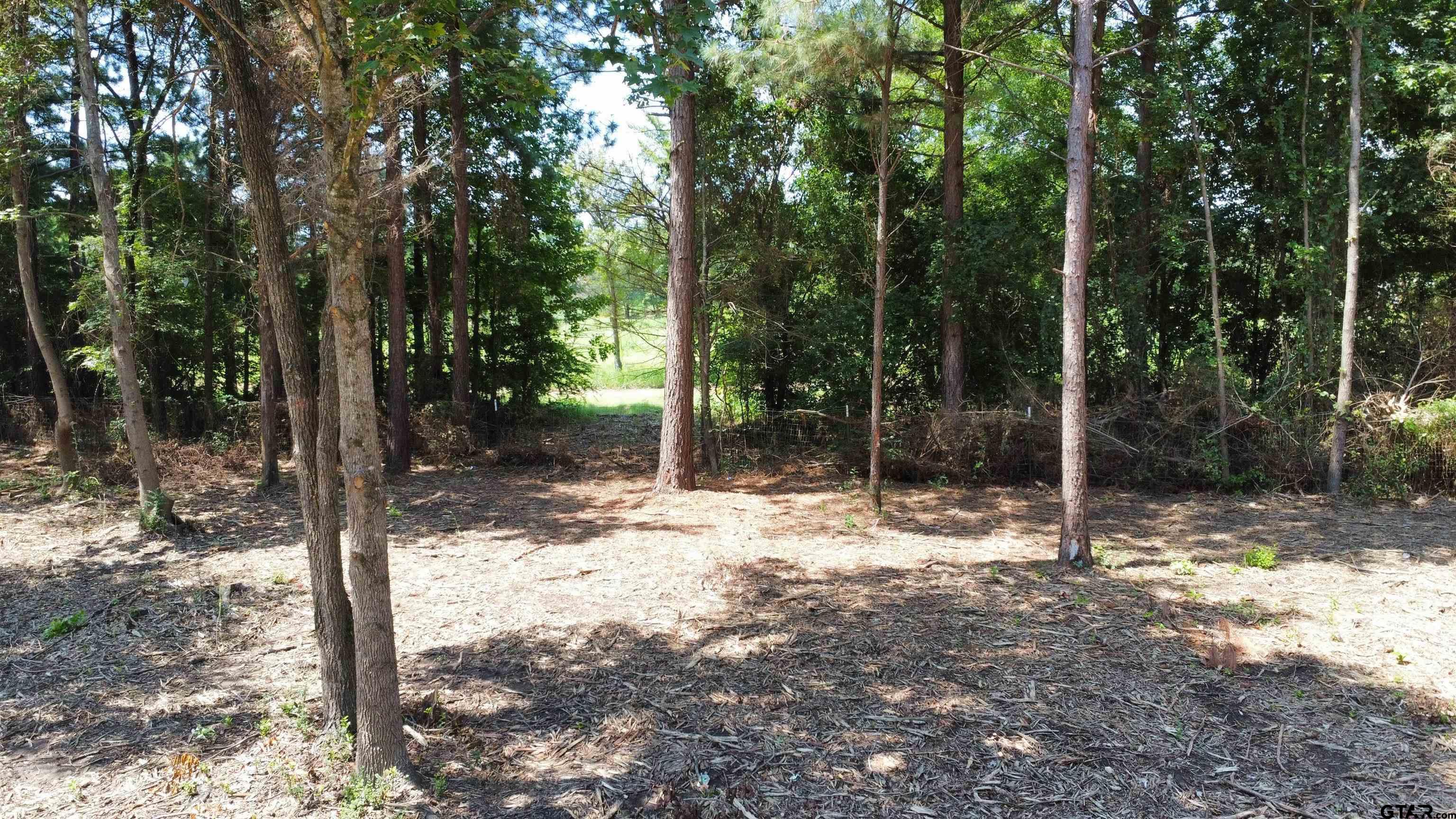Tbd Holtzclaw Drive Tyler, TX 75706 - Photo 9 of 10 a view of a forest with trees