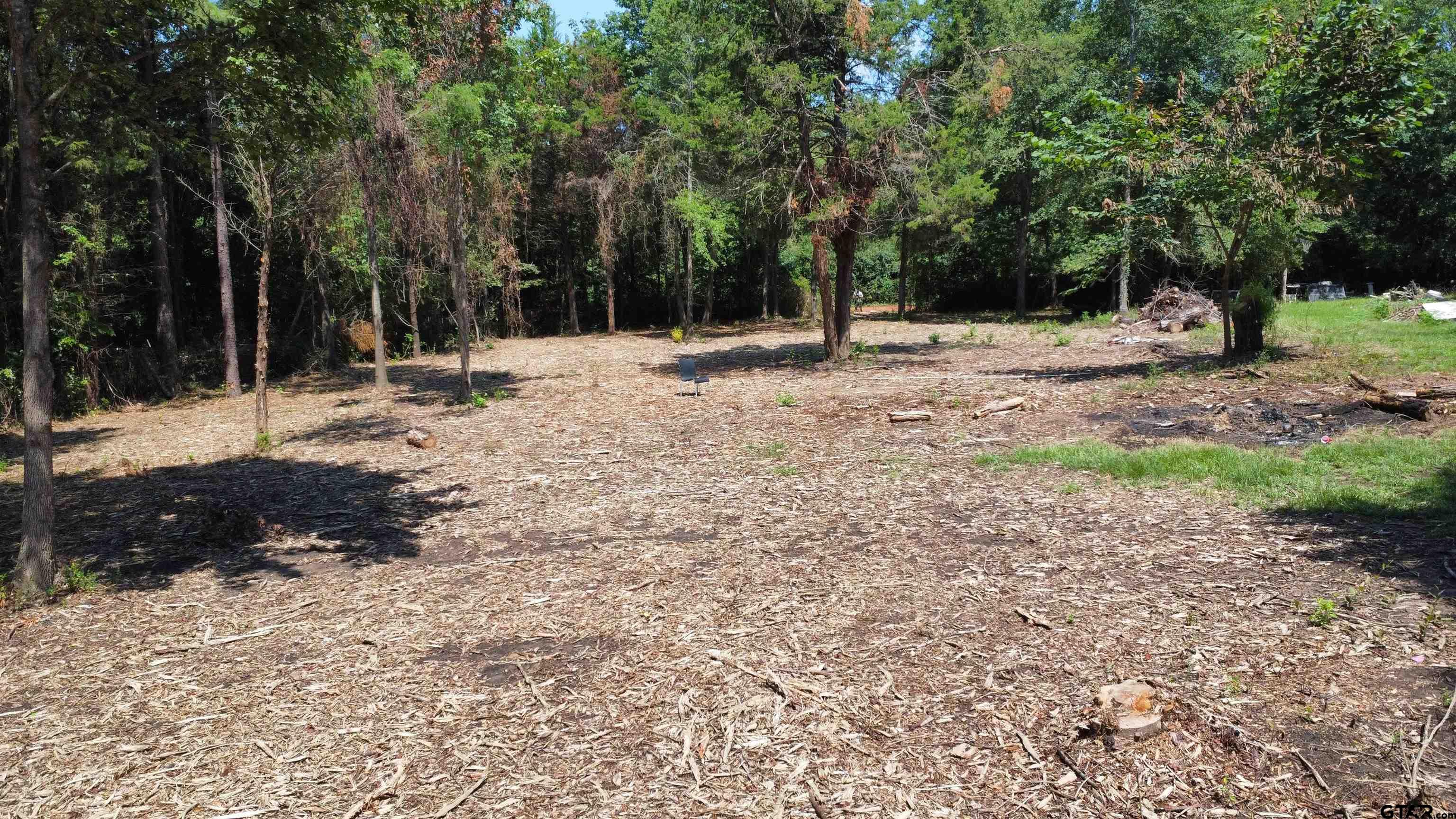 Tbd Holtzclaw Drive Tyler, TX 75706 - Photo 10 of 10 a view of outdoor space with trees