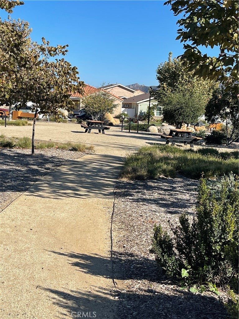 110 Main Street Piru, CA 93040 - Photo 13 of 15 a view of road with large trees