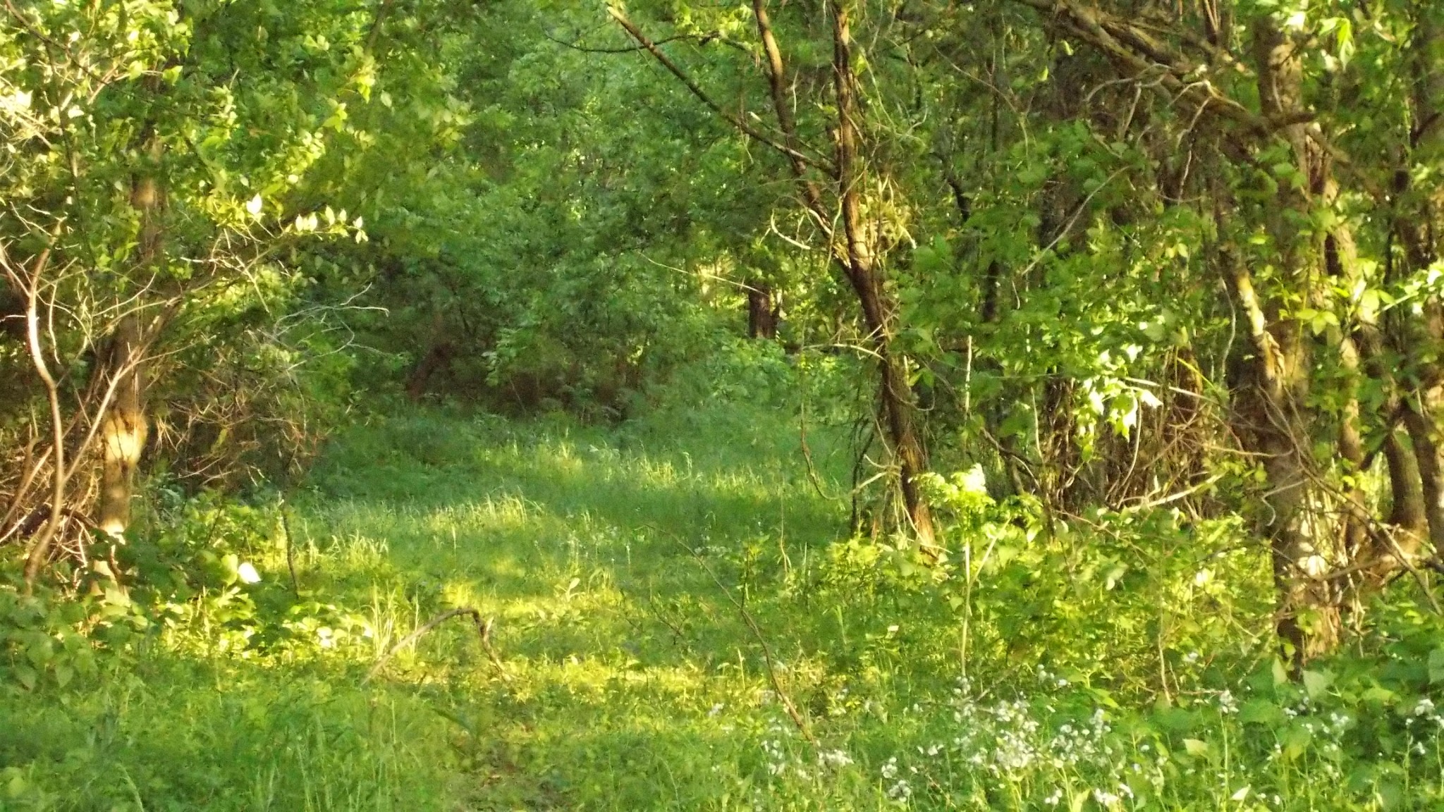 1905 Sims Road Culleoka, TN 38451 - Photo 16 of 22 Gallery Image 16