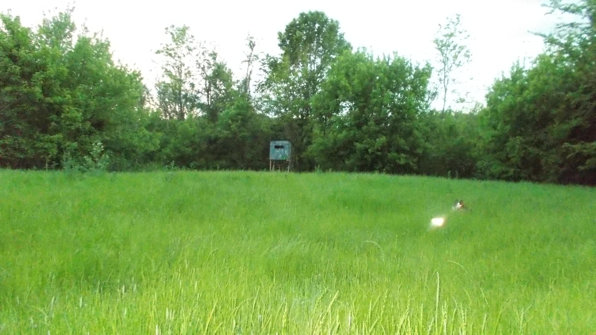 1905 Sims Road Culleoka, TN 38451 - Photo 19 of 22 Gallery Image 19
