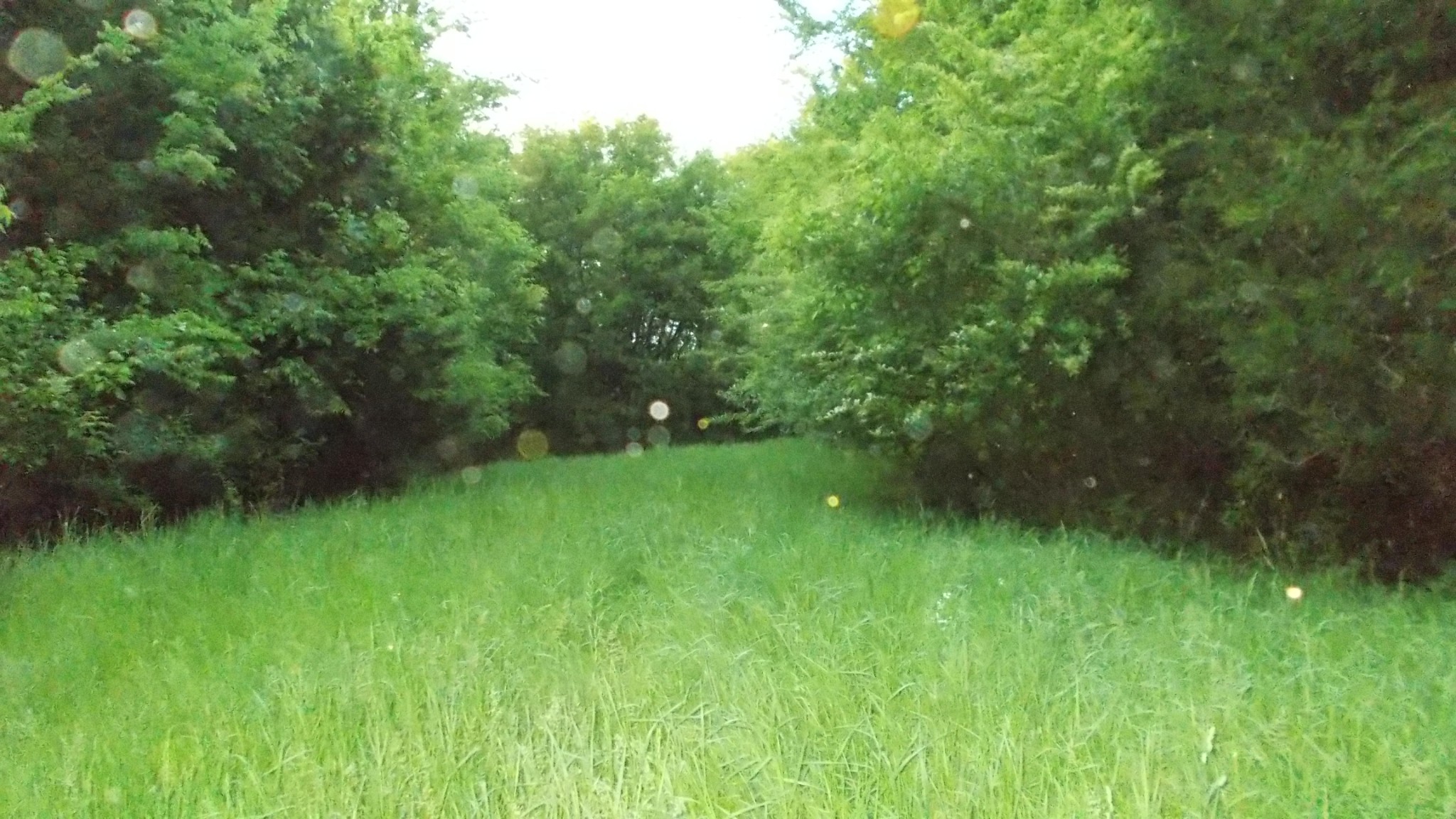 1905 Sims Road Culleoka, TN 38451 - Photo 20 of 22 Gallery Image 20
