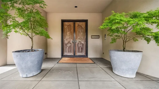 a view of an empty room with a potted plant