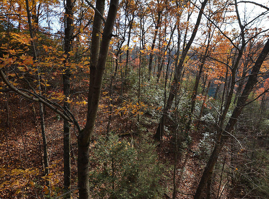 2430 Ridgehigh Pass Sevierville, TN 37876 - Photo 25 of 36 Y