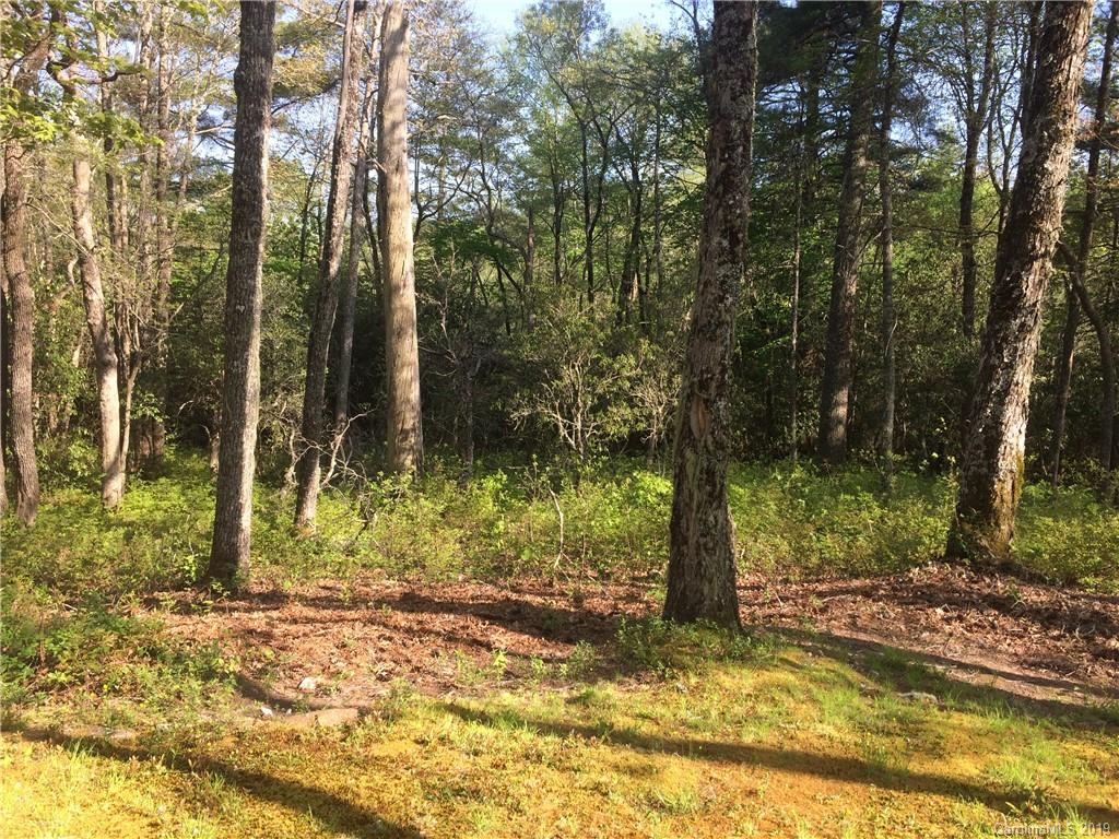 Tbd Tbd Falling Waters Road, Unit VH5 Highlands, NC 28741 - Photo 2 of 25 Gallery Image 2