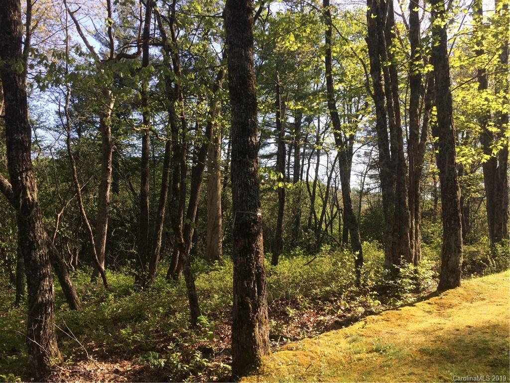 Tbd Tbd Falling Waters Road, Unit VH5 Highlands, NC 28741 - Photo 4 of 25 Gallery Image 4