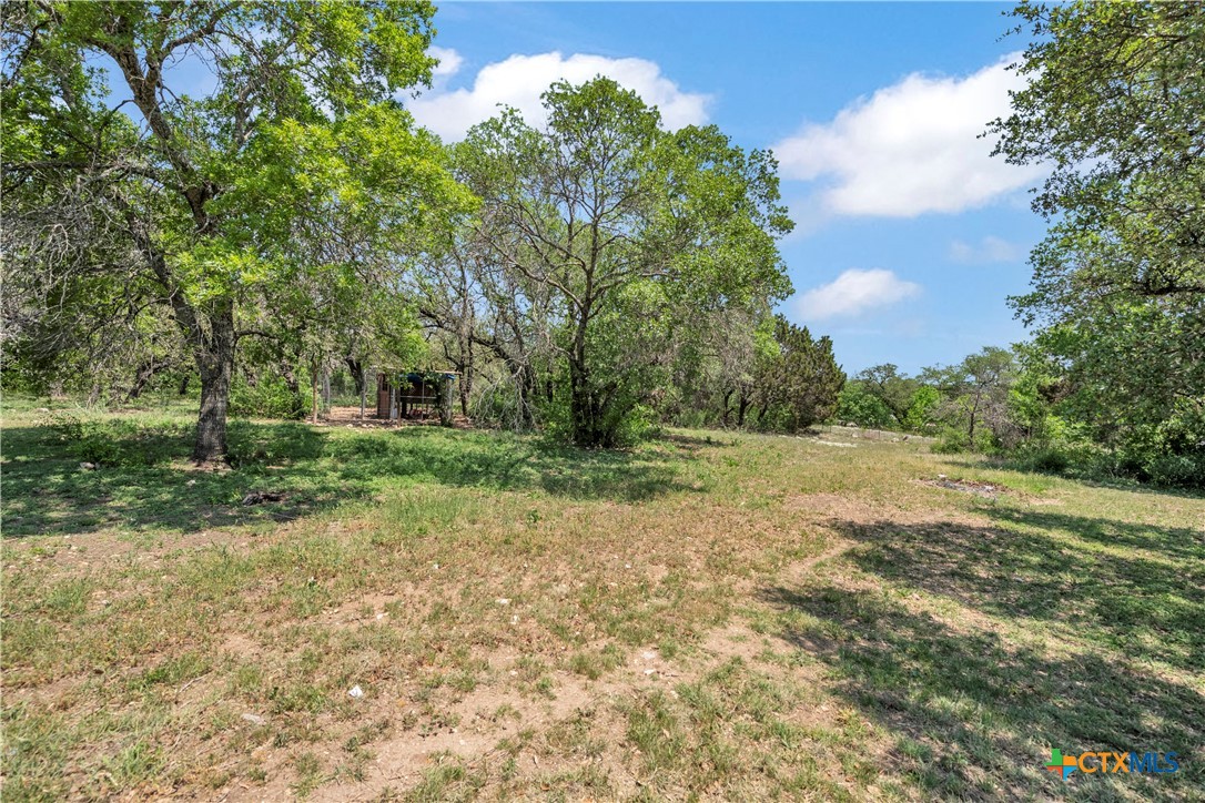806 County Road 4756 Kempner, TX 76539 - Photo 30 of 33 a view of backyard with green space