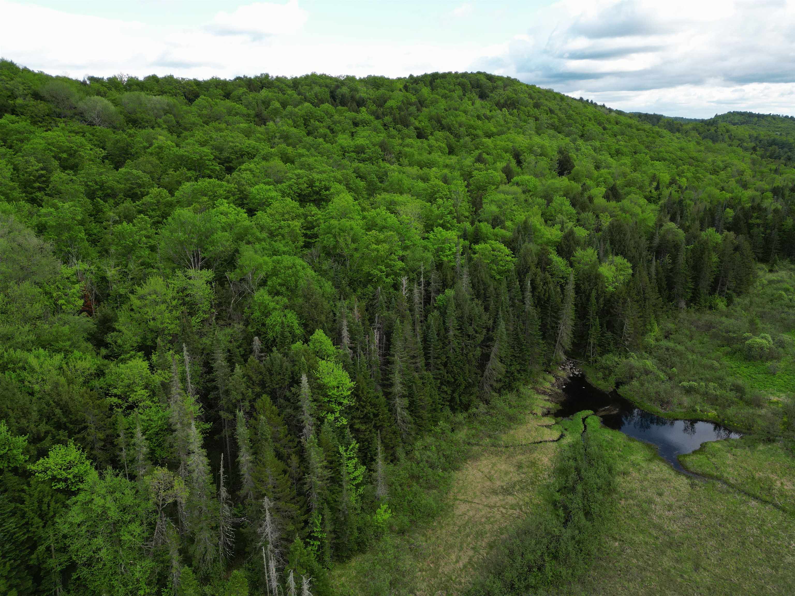 4823 Swamp Road Newbury, VT 05051 - Photo 8 of 10