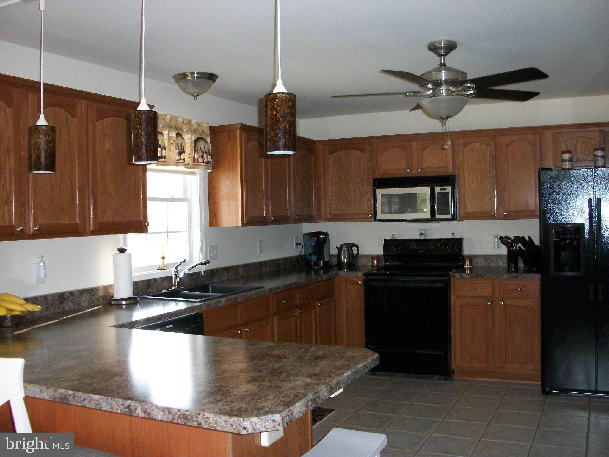 11125 Daysville Road Frederick, MD 21701 - Photo 10 of 30 Kitchen