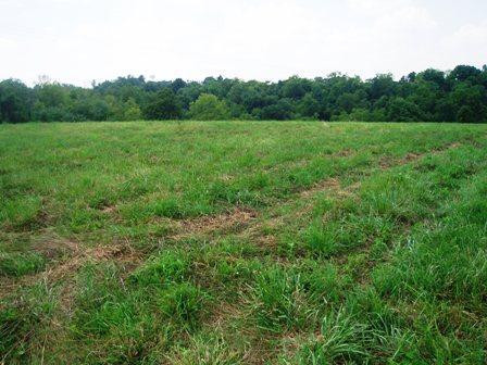 656 Augusta Chatham Road Augusta, KY 41002 - Photo 1 of 2 Gallery Image 1