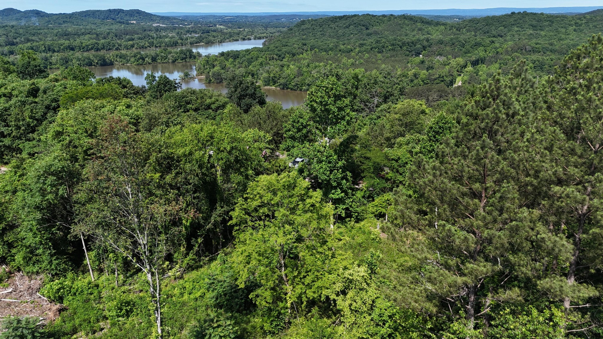 4 Lamontville Road Calhoun, TN 37309 - Photo 8 of 11 a view of a lush green forest with trees in the background