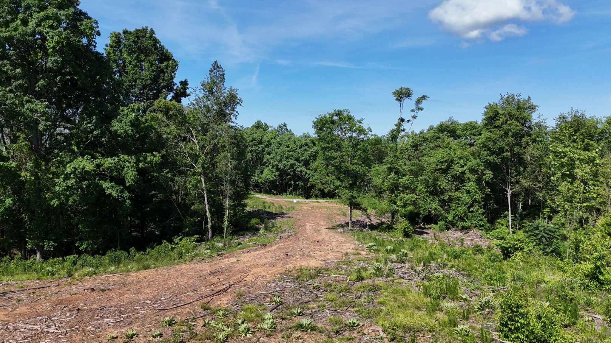 4 Lamontville Road Calhoun, TN 37309 - Photo 9 of 11 a view of a bunch of trees and bushes