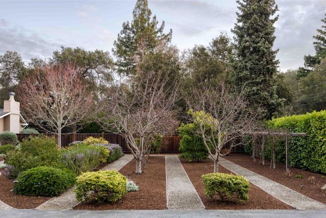 a view of a garden with potted plants