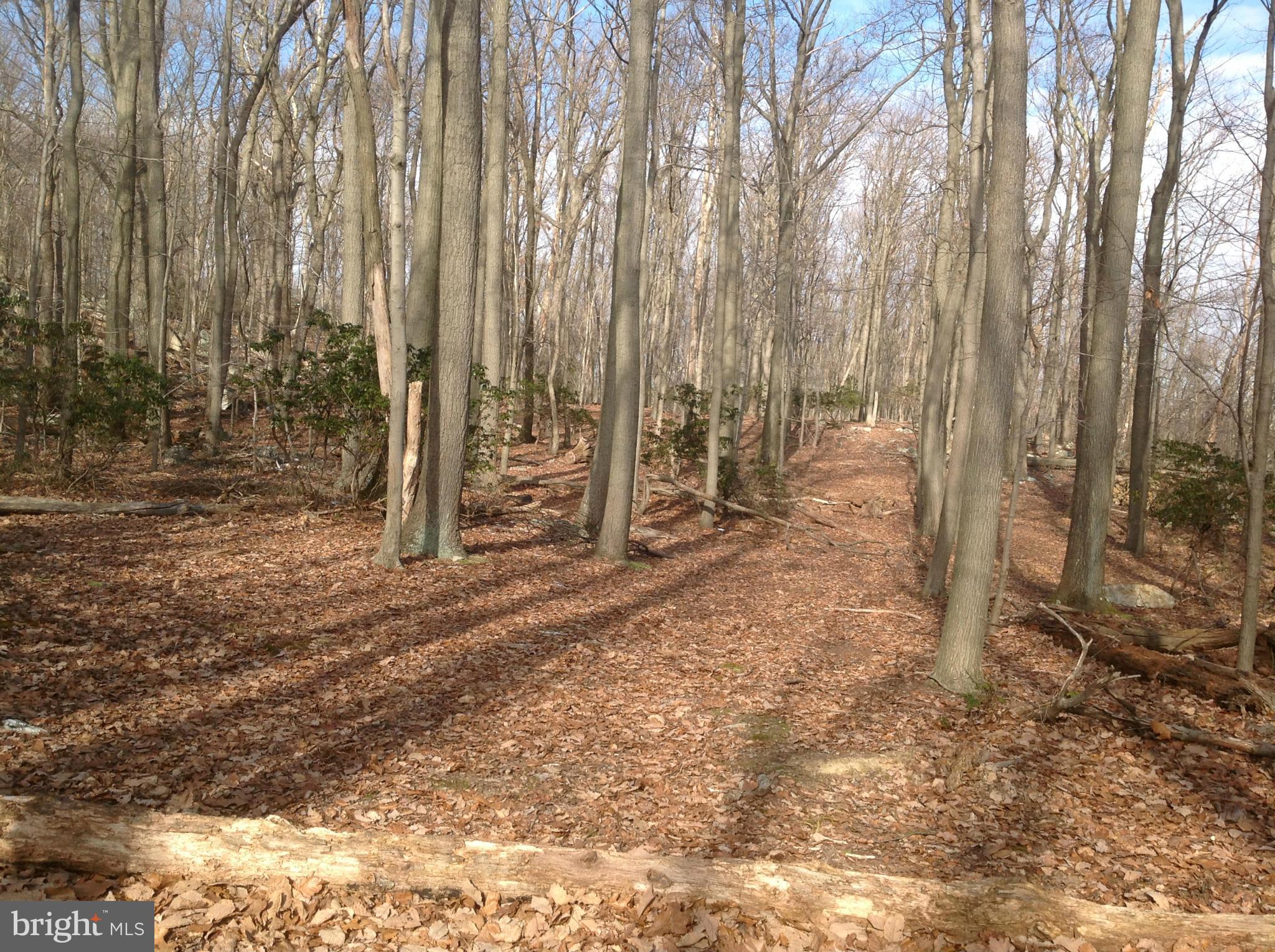 5250 Jackson Mountain Road Frederick, MD 21702 - Photo 17 of 30 View
