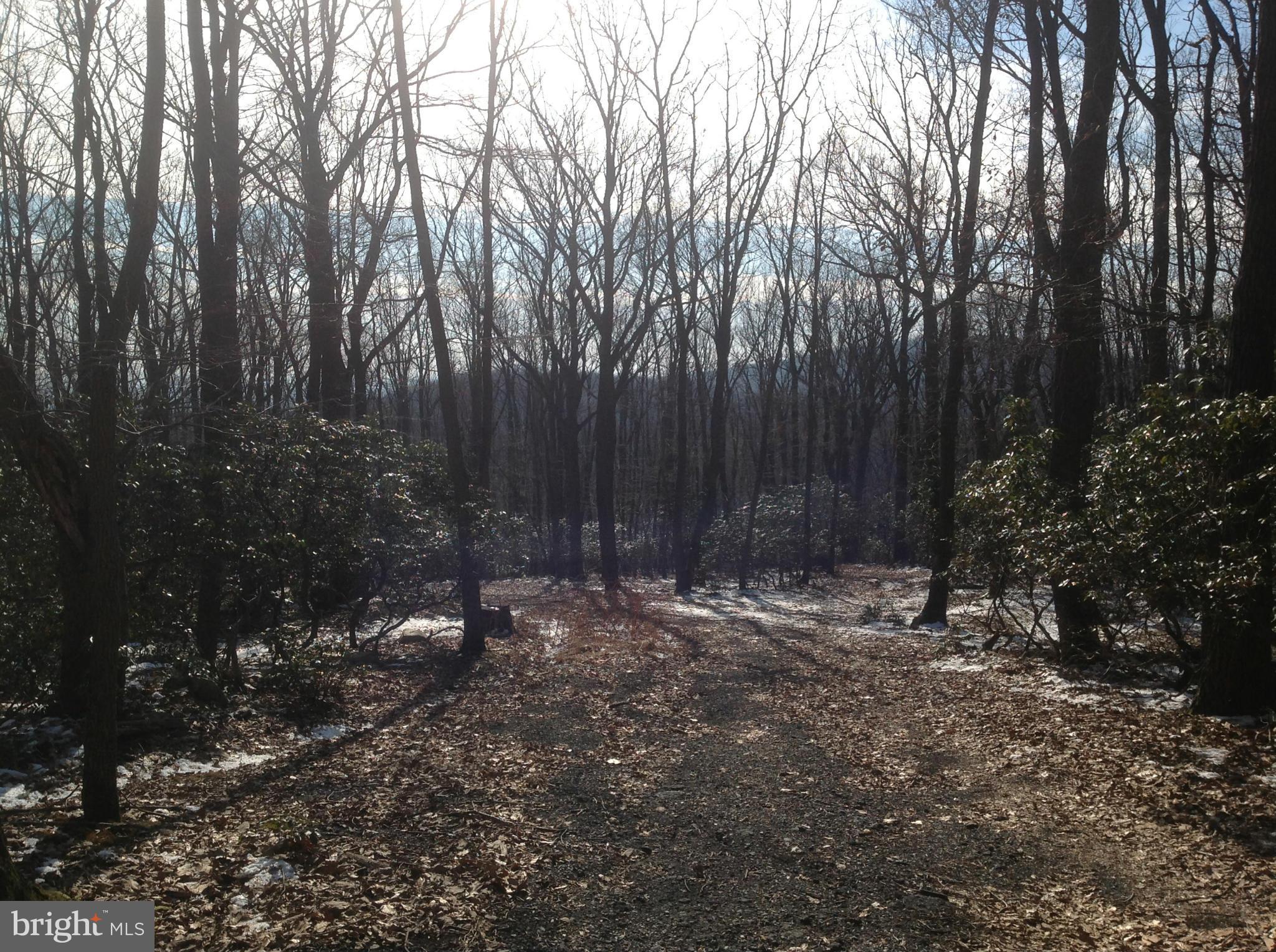 5250 Jackson Mountain Road Frederick, MD 21702 - Photo 20 of 30 View
