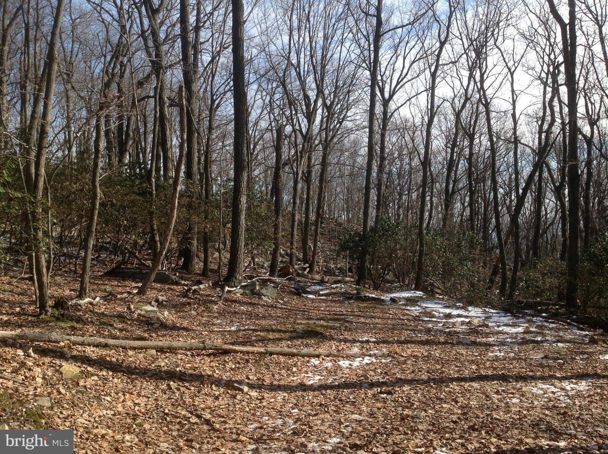 5250 Jackson Mountain Road Frederick, MD 21702 - Photo 21 of 30 View