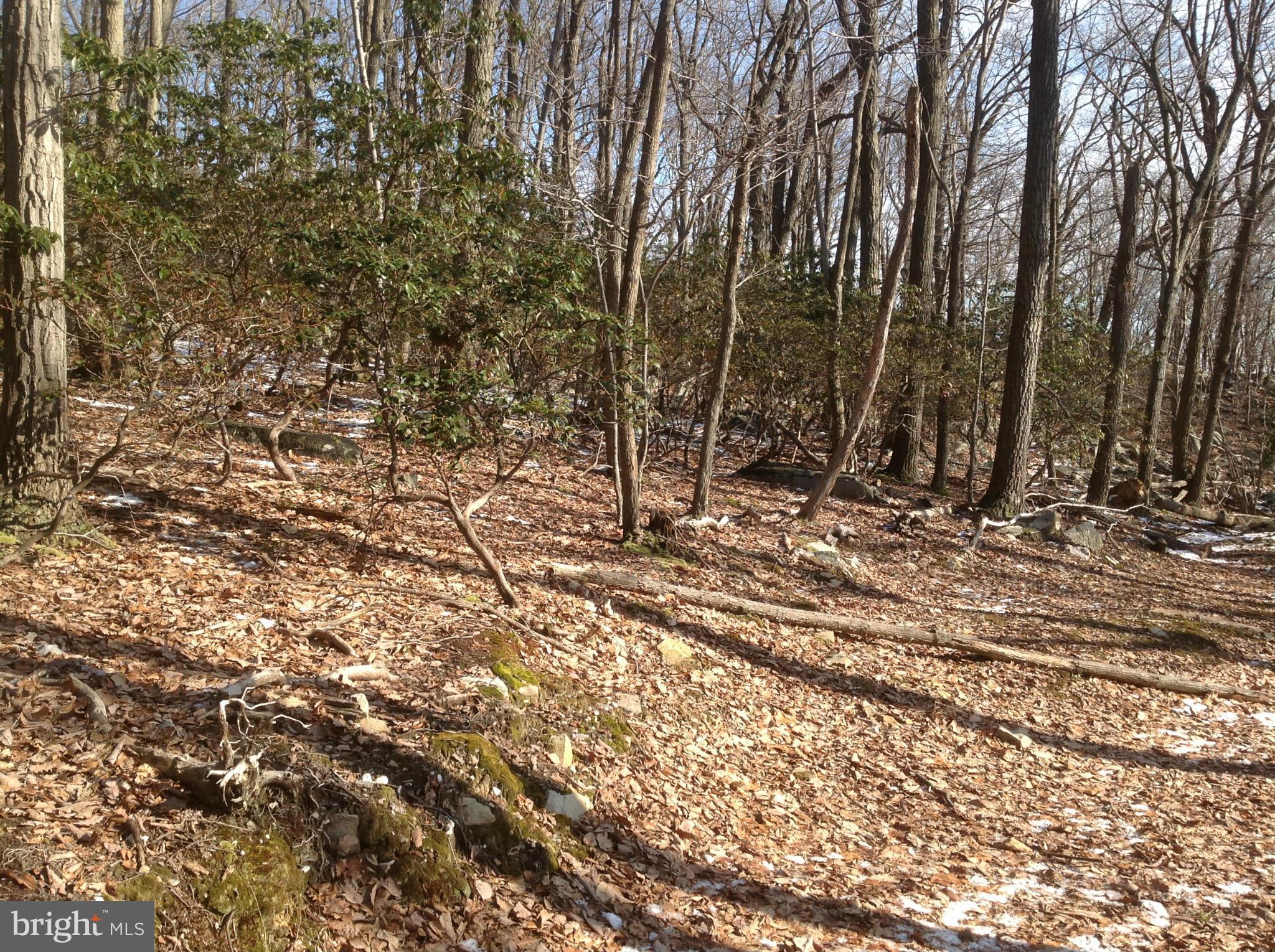 5250 Jackson Mountain Road Frederick, MD 21702 - Photo 22 of 30 View