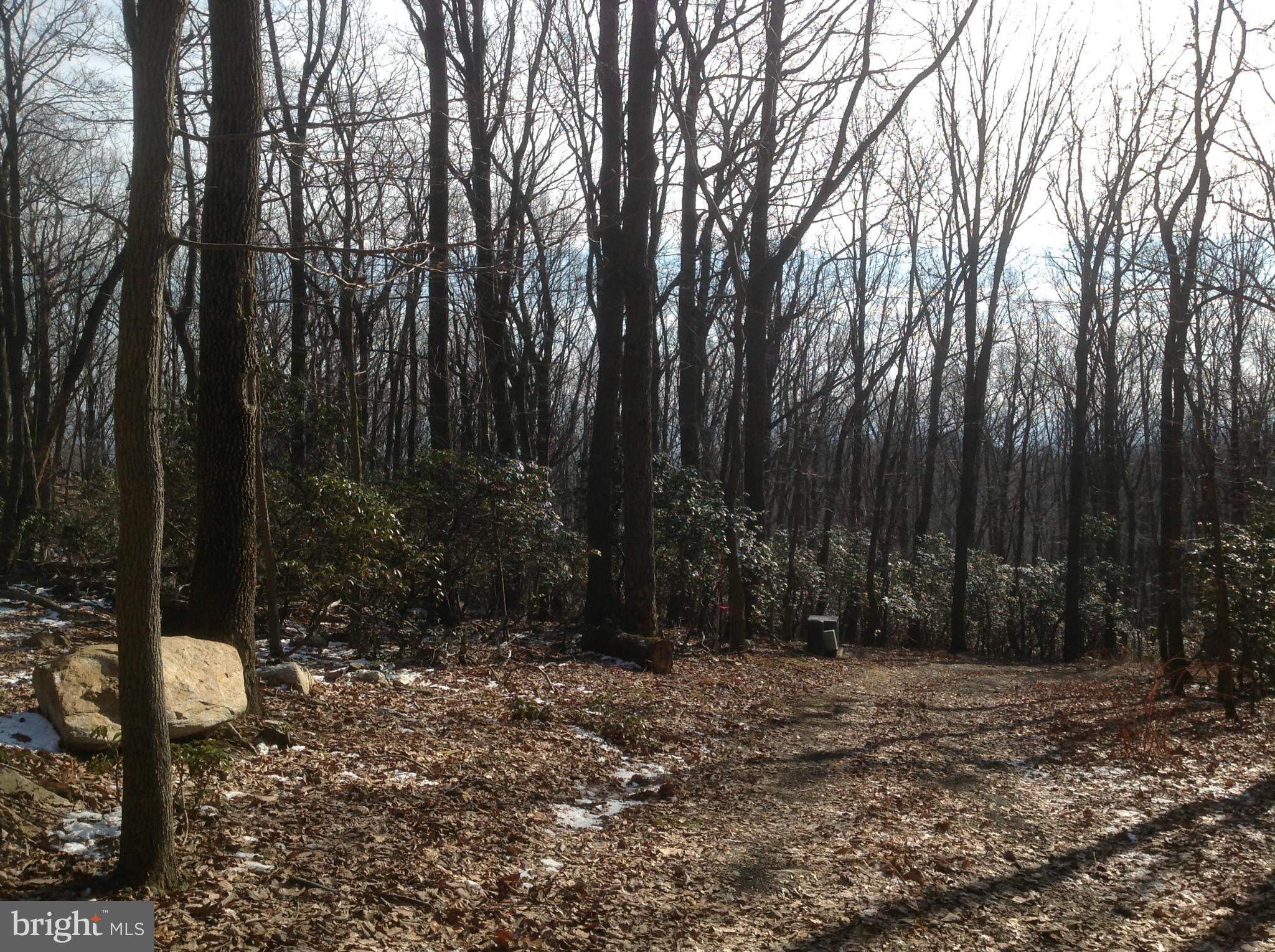 5250 Jackson Mountain Road Frederick, MD 21702 - Photo 23 of 30 View