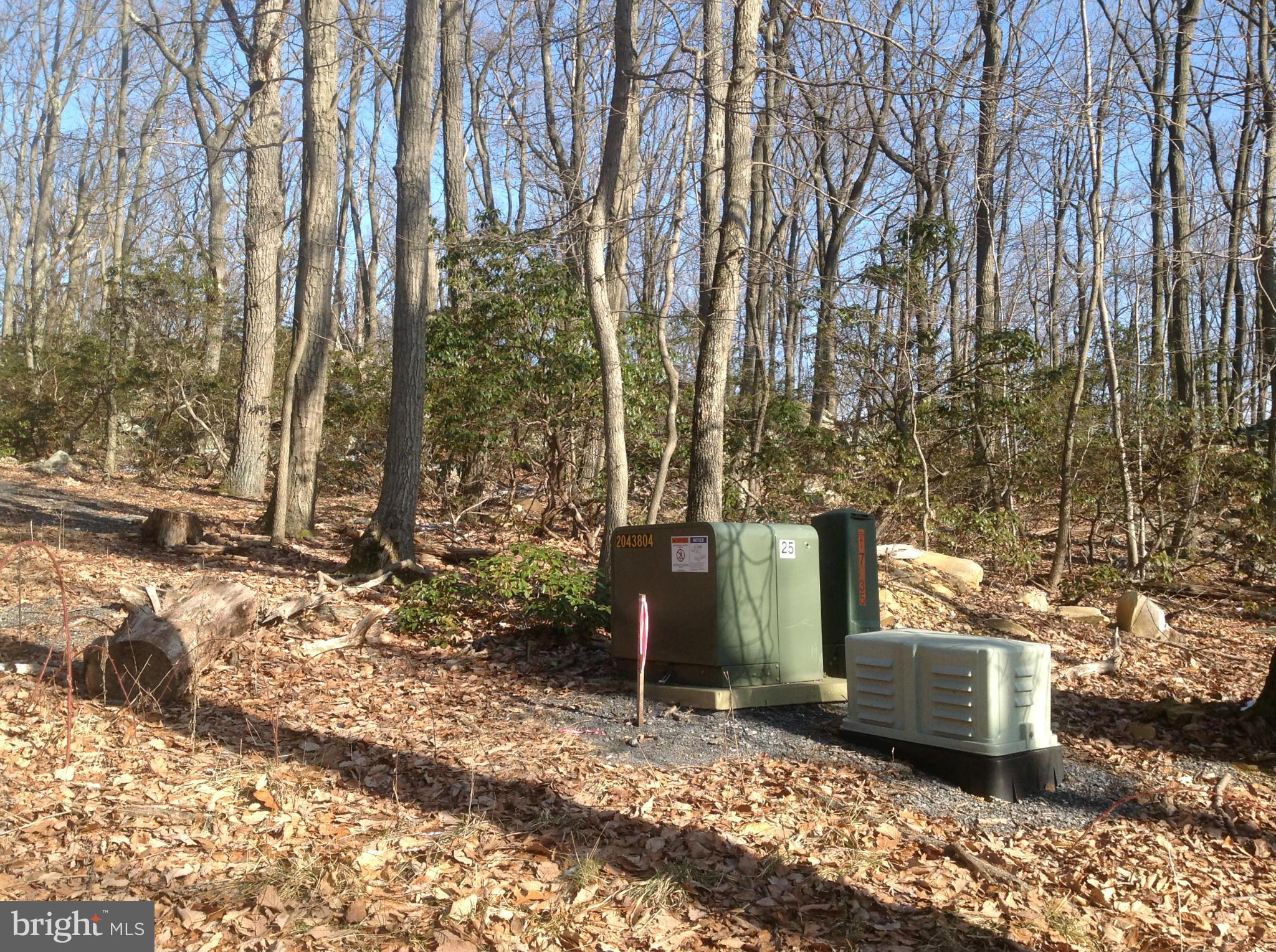 5250 Jackson Mountain Road Frederick, MD 21702 - Photo 24 of 30 View