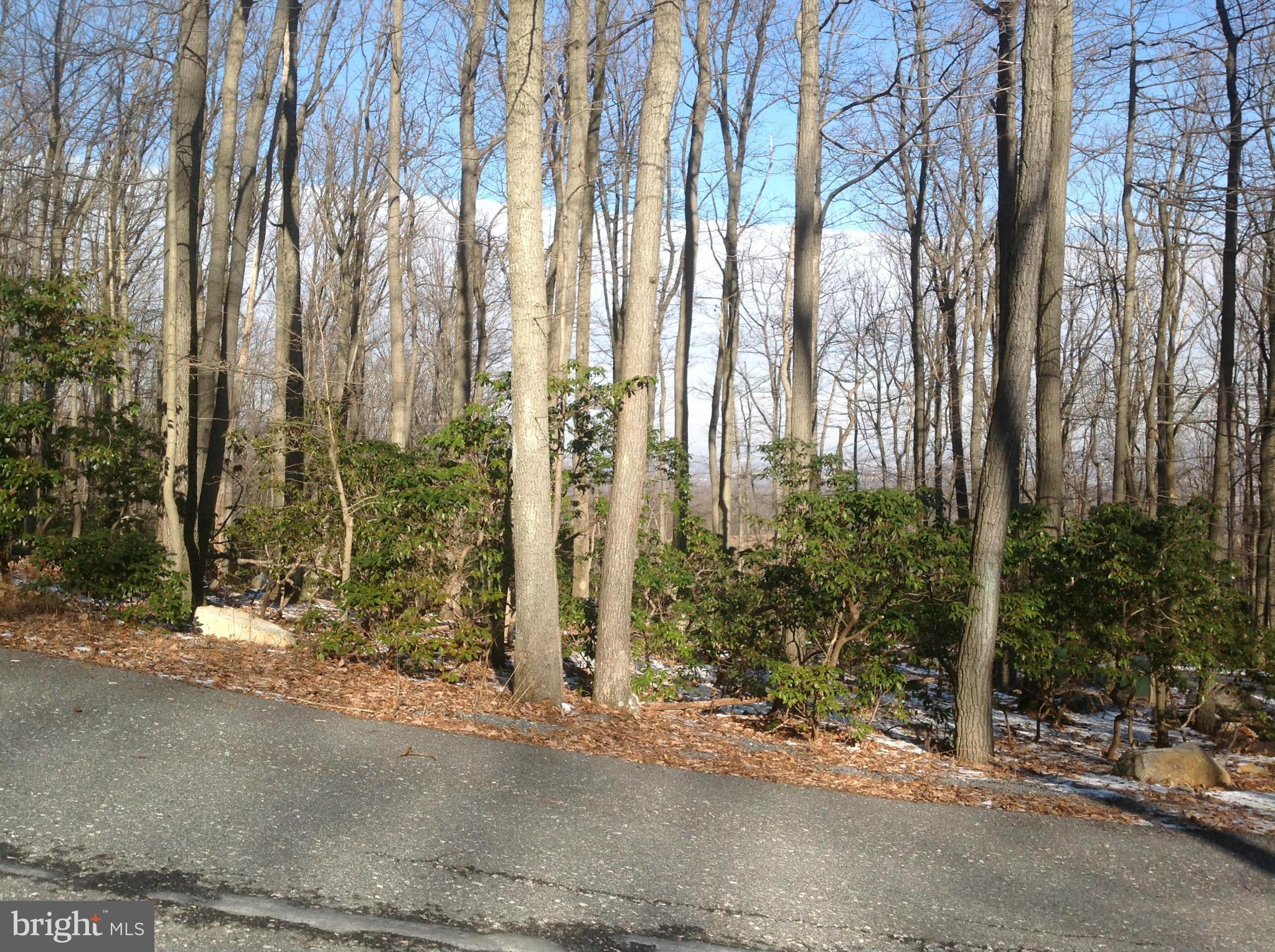 5250 Jackson Mountain Road Frederick, MD 21702 - Photo 25 of 30 View